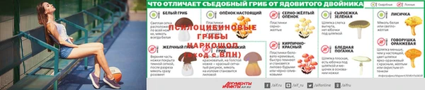 прущие крисы Богородицк
