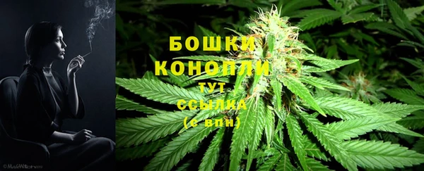 прущие крисы Богородицк