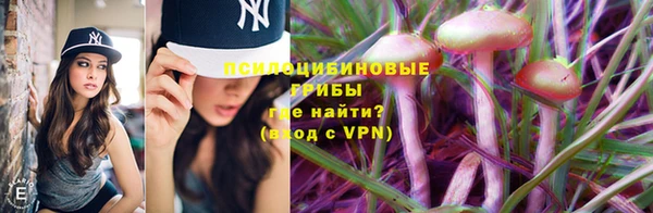прущие крисы Богородицк