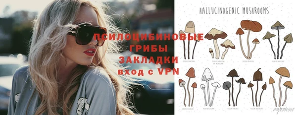 СК Богданович